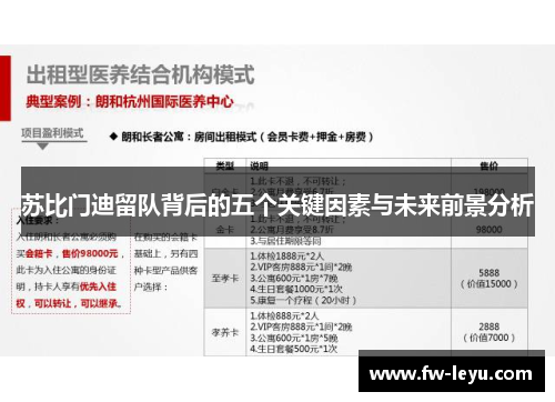 苏比门迪留队背后的五个关键因素与未来前景分析