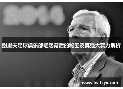 谢里夫足球俱乐部崛起背后的秘密及其强大实力解析 谢里夫足球俱乐部崛起背后的秘密及其强大实力解析
