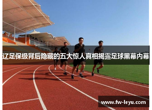 辽足保级背后隐藏的五大惊人真相揭露足球黑幕内幕 辽足保级背后隐藏的五大惊人真相揭露足球黑幕内幕