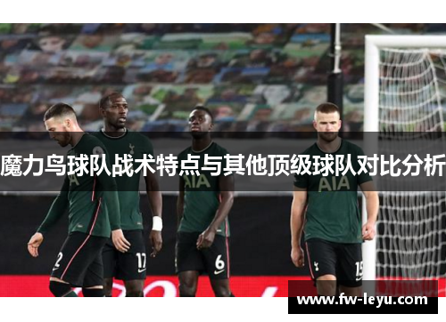 魔力鸟球队战术特点与其他顶级球队对比分析