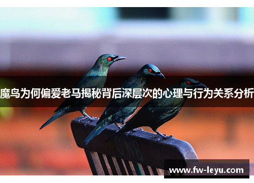 魔鸟为何偏爱老马揭秘背后深层次的心理与行为关系分析