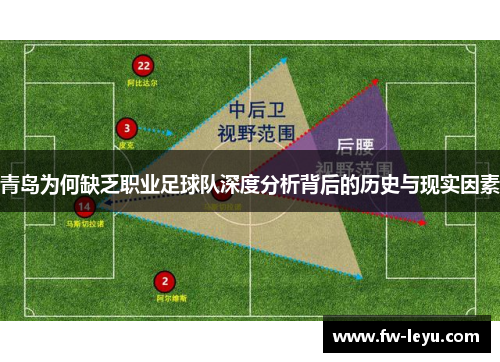 青岛为何缺乏职业足球队深度分析背后的历史与现实因素