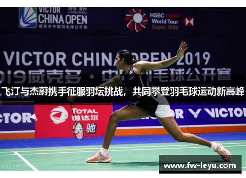 飞汀与杰蔚携手征服羽坛挑战，共同攀登羽毛球运动新高峰